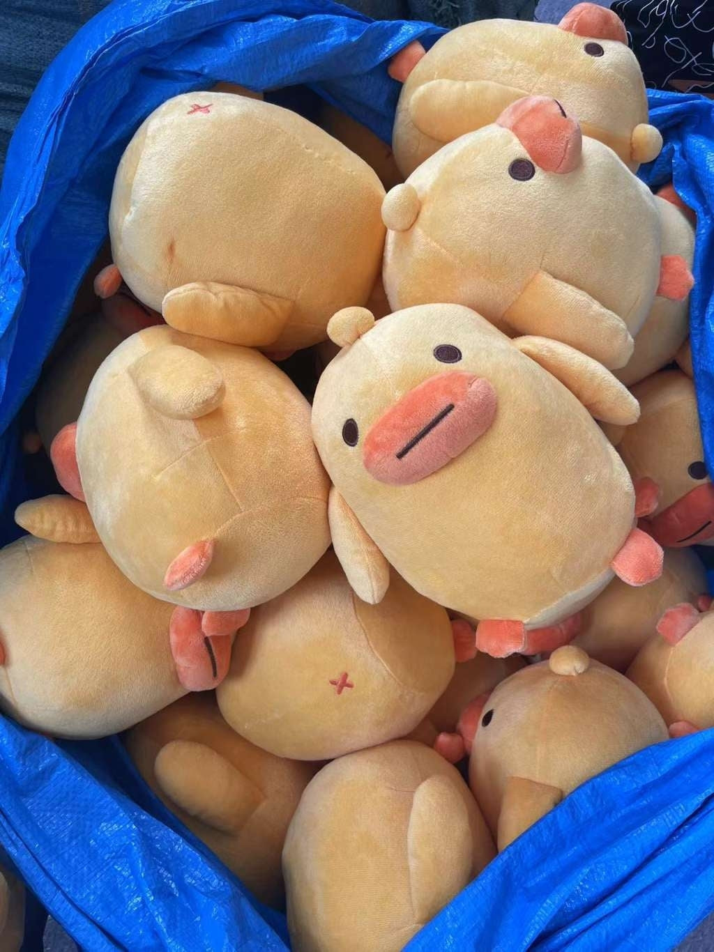 V1 Gwokoli the Duck Plush