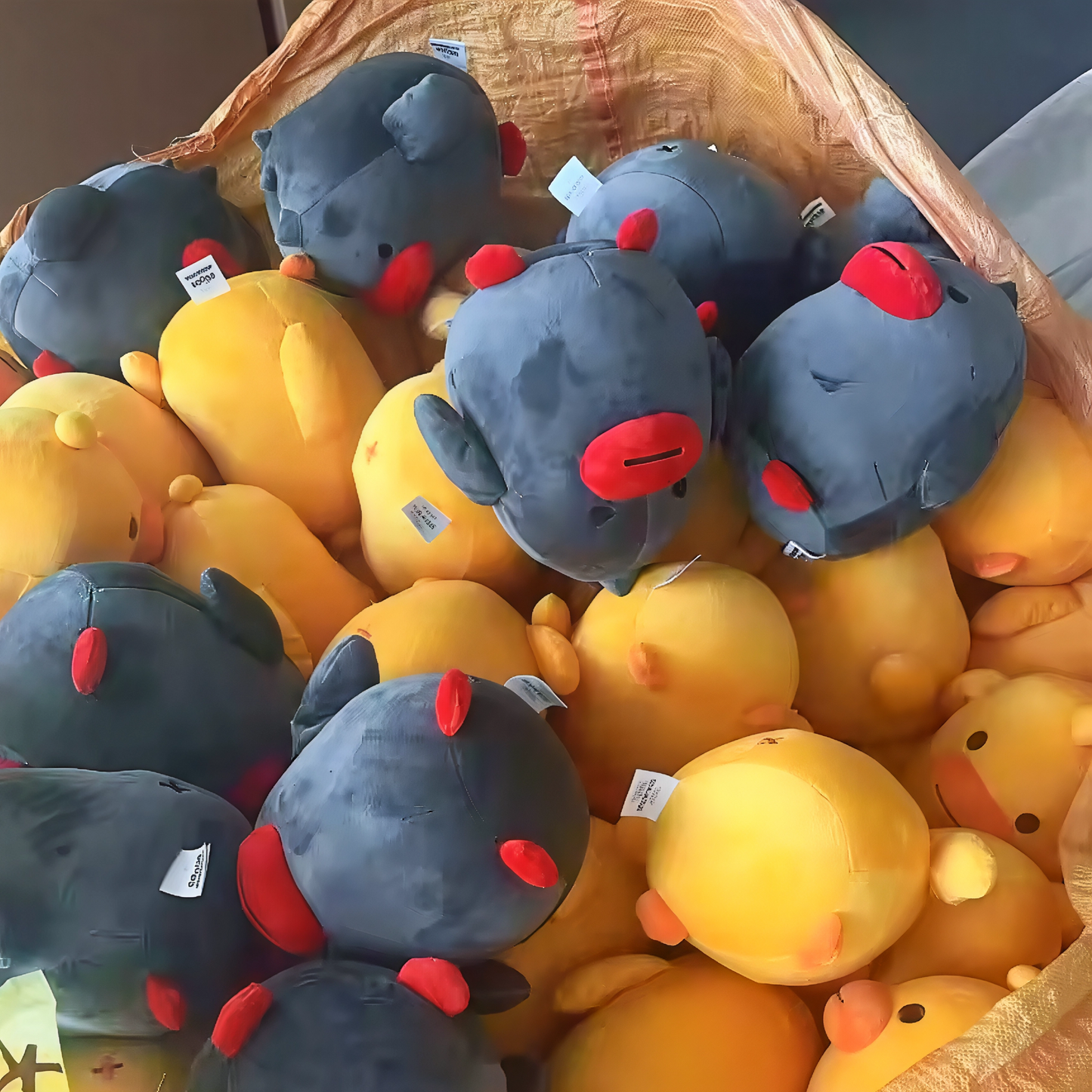 Double Duck Deal - Gwok + Pok Plush Bundle